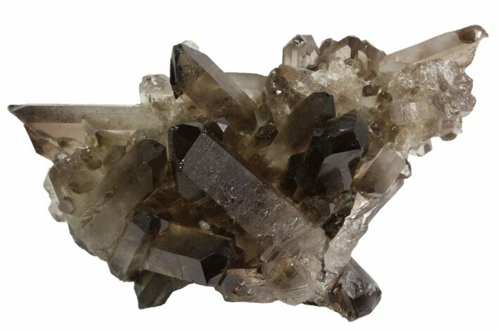 Dark Smoky Quartz Crystal Cluster - Brazil #84311